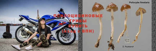 наркотики Ельня