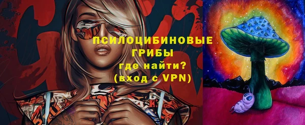 первитин Болотное