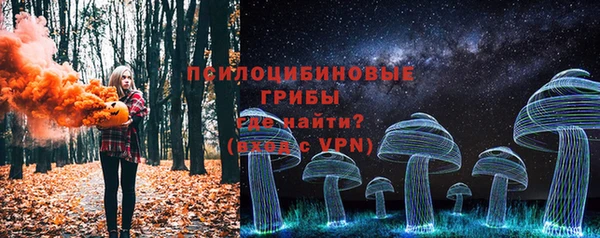 герыч Елабуга
