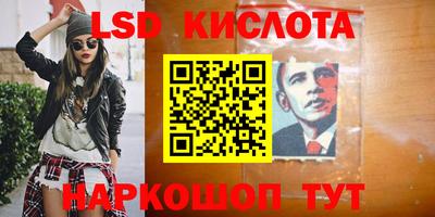 соль ск Новозыбков