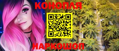 соль ск Новозыбков
