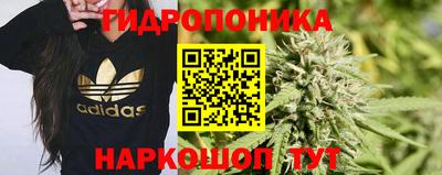 соль ск Новозыбков