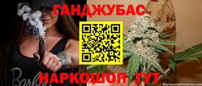 соль ск Новозыбков
